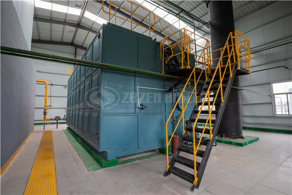  4噸燃氣蒸汽鍋爐藥廠用