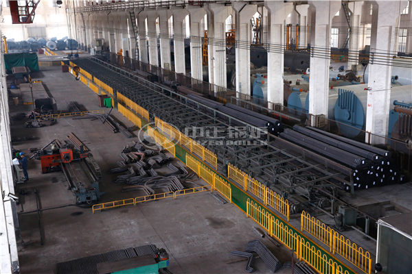 生物質(zhì)循環(huán)流化床鍋爐