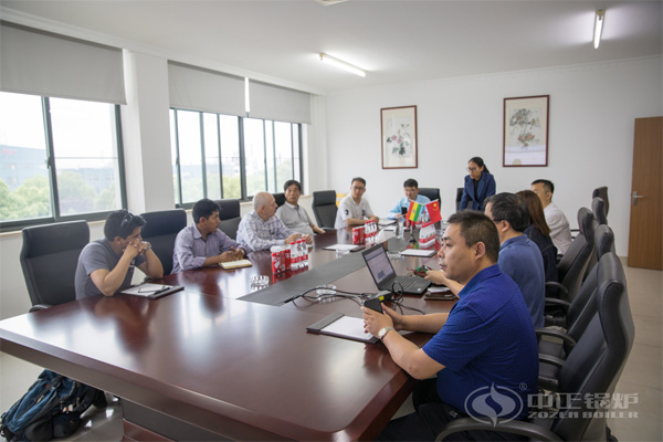 新能源秸稈料鍋爐