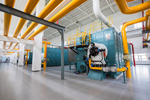 WNS燃?xì)庹羝仩t